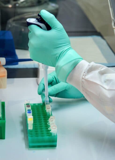 Maternity DNA Testing vs. Paternity DNA Testing: Differences and Use Cases