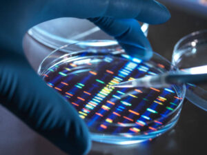 prenatal DNA testing